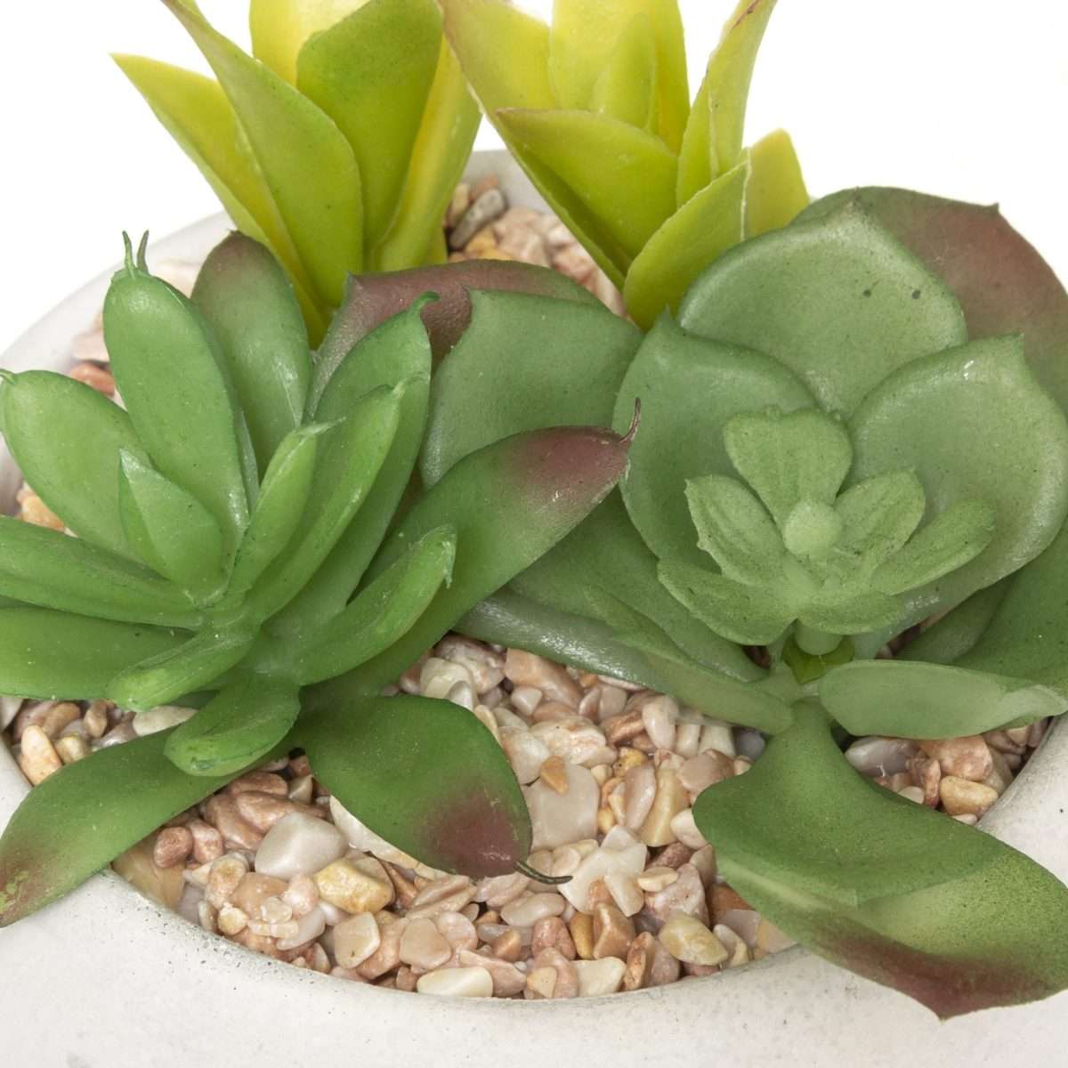 Polica Tegli Green - Image 4