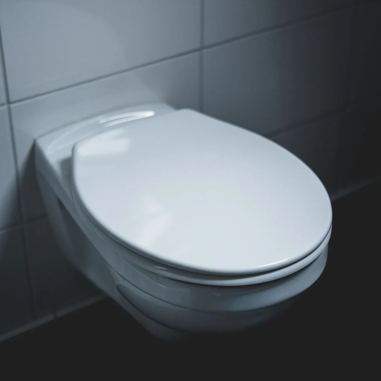 Detalj WC školjke i daske odozgo, s jasno vidljivim oblikom školjke i mehanizmom spuštanja